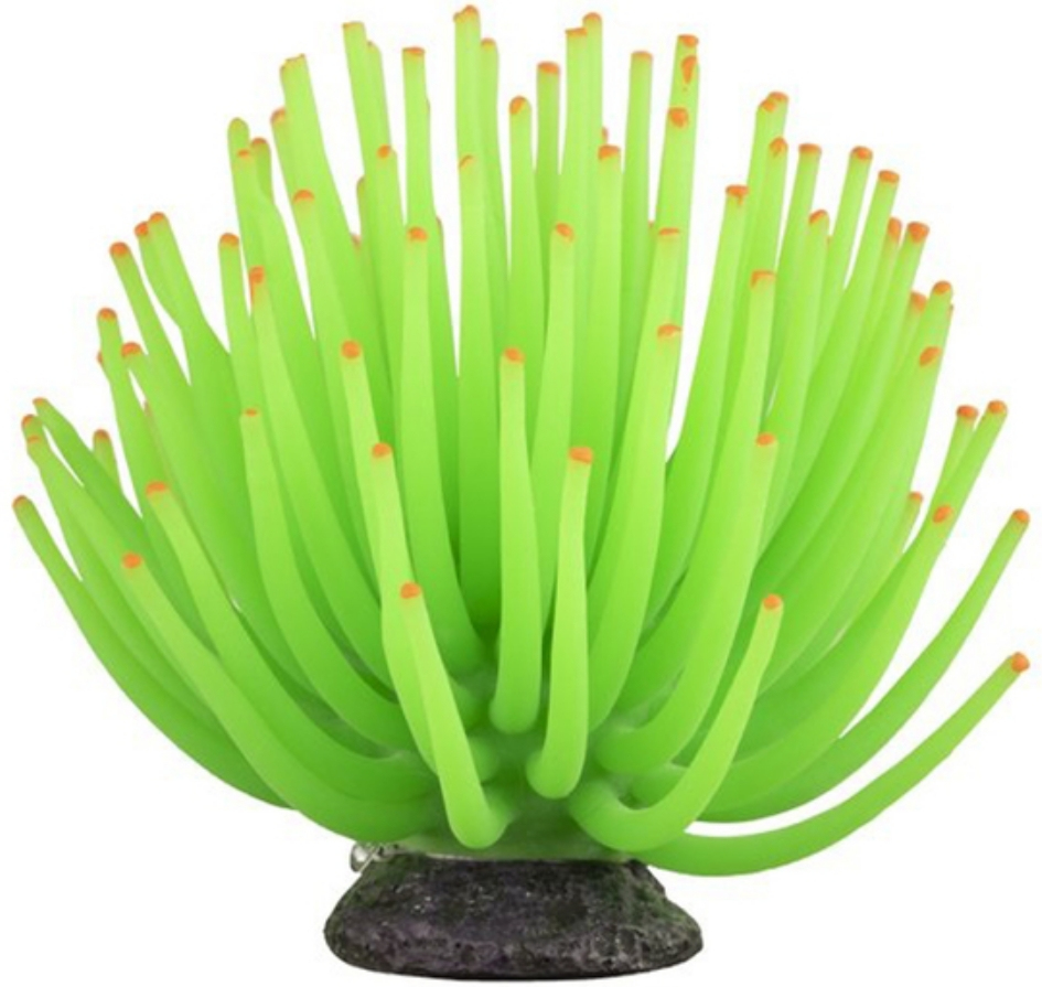 pp10325__1.jpg